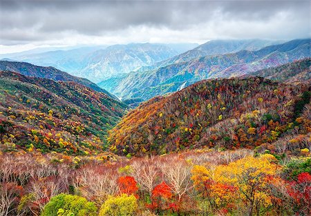 simsearch:400-07246643,k - Landscape in Nikko National Park in Tochigi, Japan. Photographie de stock - Aubaine LD & Abonnement, Code: 400-06771079