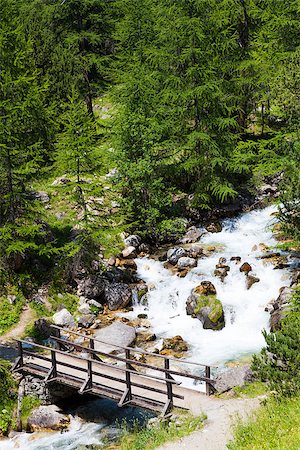 simsearch:400-04833071,k - Bardonecchia area, Piemonte Region, Italian Alps. Bridge on the river in Alpine forest. Photographie de stock - Aubaine LD & Abonnement, Code: 400-06771216