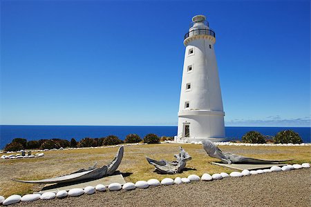Lighthouse of Cape Willoughby, Kangaroo Island, Australia Foto de stock - Royalty-Free Super Valor e Assinatura, Número: 400-06772006