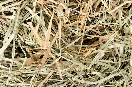 Background of dry meadow hay. Pet food Photographie de stock - Aubaine LD & Abonnement, Code: 400-06772447
