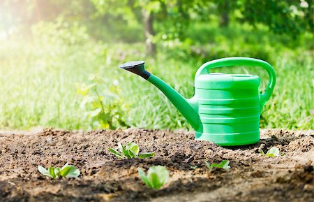 primer - green watering can in garden on ground Stock Photo - Budget Royalty-Free & Subscription, Code: 400-06772534