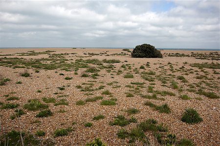 Walmer sea front in Kent Stockbilder - Microstock & Abonnement, Bildnummer: 400-06772667