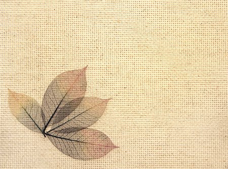 dried leaf ornaments - Background with leaves on canvas texture Stock Photo - Budget Royalty-Free & Subscription, Code: 400-06787787