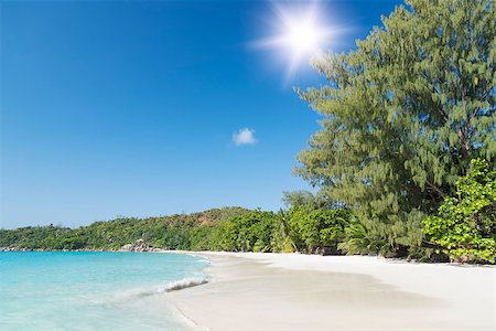 simsearch:400-06787807,k - Mahe island, Seychelles. Anse Soleil, lazare bay (Beach). The island of dreams for a rest and relaxation. White coral beach sand. A heavenly place. Stock Photo - Budget Royalty-Free & Subscription, Code: 400-06787804