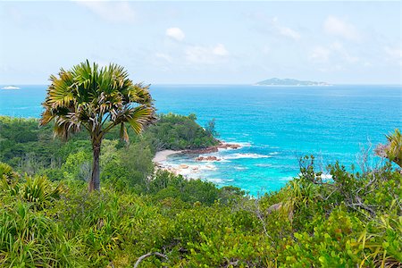 simsearch:400-08693524,k - Tropical beach at Seychelles - nature background Fotografie stock - Microstock e Abbonamento, Codice: 400-06787860