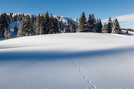 simsearch:400-05904919,k - Almost Untouched Powder Snow Landscape, Ski Resort Megeve, French Alps, France Stock Photo - Budget Royalty-Free & Subscription, Code: 400-06788810