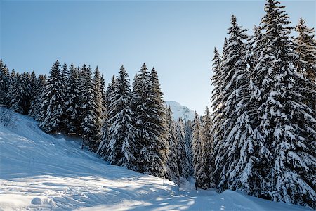 simsearch:400-06132704,k - Ski Slope and Beautiful  Landscape in Megeve, French Alps, France Foto de stock - Royalty-Free Super Valor e Assinatura, Número: 400-06788811