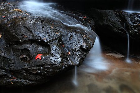 Phukradueng National Park of Thailand. Foto de stock - Super Valor sin royalties y Suscripción, Código: 400-06788886