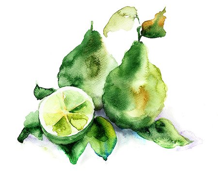 Bergamot fruits, watercolor illustration Stock Photo - Budget Royalty-Free & Subscription, Code: 400-06789054