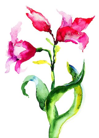 simsearch:400-06202782,k - Beautiful Lily flowers, watercolor illustration Stock Photo - Budget Royalty-Free & Subscription, Code: 400-06789090