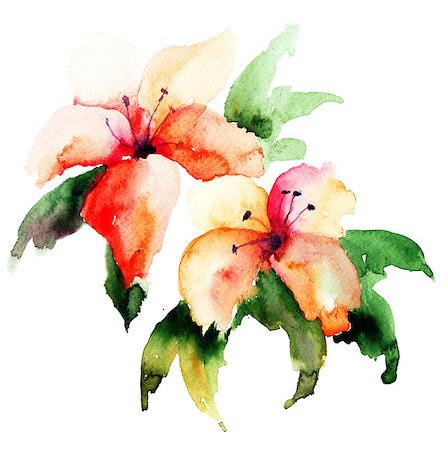 simsearch:400-06202782,k - Beautiful Lily flowers, watercolor illustration Stock Photo - Budget Royalty-Free & Subscription, Code: 400-06789091