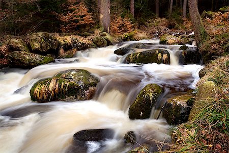 simsearch:400-04412215,k - fast spring in forest, De Harz mountains Photographie de stock - Aubaine LD & Abonnement, Code: 400-06789490