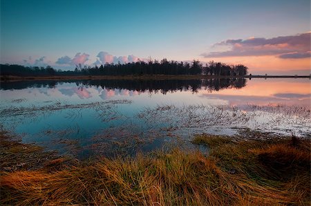 simsearch:400-06875459,k - colorful sunset over peaceful wild  lake in Dwingelderveld Stock Photo - Budget Royalty-Free & Subscription, Code: 400-06789508