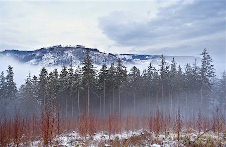 simsearch:400-06859549,k - misty day in Harz mountains during winter Photographie de stock - Aubaine LD & Abonnement, Code: 400-06789546