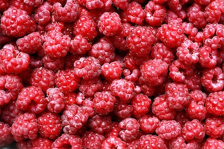 simsearch:400-07667203,k - raspberries as very nice natural food background Stock Photo - Budget Royalty-Free & Subscription, Code: 400-06794106