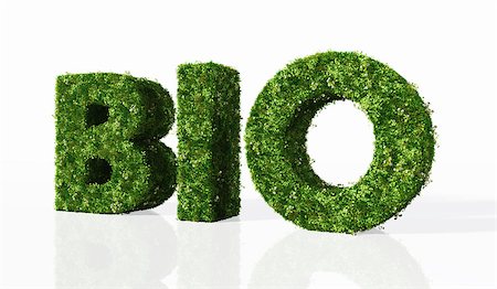 simsearch:400-06928460,k - bio word composed from letters that are covered by grass and flowers, on a white background Stock Photo - Budget Royalty-Free & Subscription, Code: 400-06794724