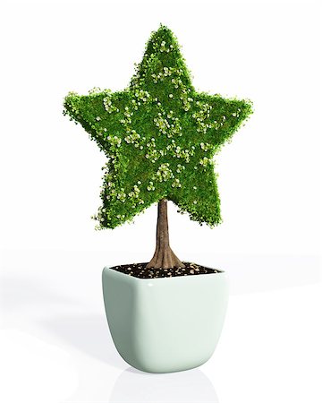 simsearch:400-06928460,k - a small plant in the shape of star planted in a white pot is fully covered by grass and flowers, on a white background Stock Photo - Budget Royalty-Free & Subscription, Code: 400-06794722