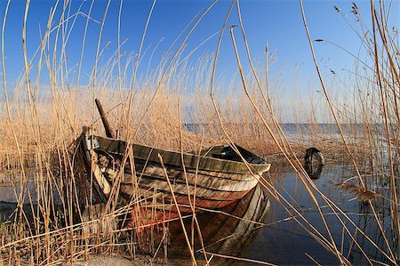 An old boat in the reeds. Stock Photo - Budget Royalty-Free & Subscription, Code: 400-06795251