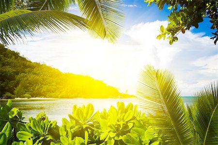 La Digue island, Seyshelles, Anse Source d'Argen on background. Fotografie stock - Microstock e Abbonamento, Codice: 400-06795301