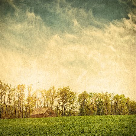 field of clover - Sky field landscape on a textured vintage paper background Stock Photo - Budget Royalty-Free & Subscription, Code: 400-06795412