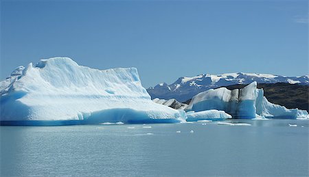 el calafate - NP Los Glaciares, Patagonia, Argentina Foto de stock - Super Valor sin royalties y Suscripción, Código: 400-06797151