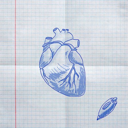 school biology - school sketches on checkered paper, heart Stock Photo - Budget Royalty-Free & Subscription, Code: 400-06798331