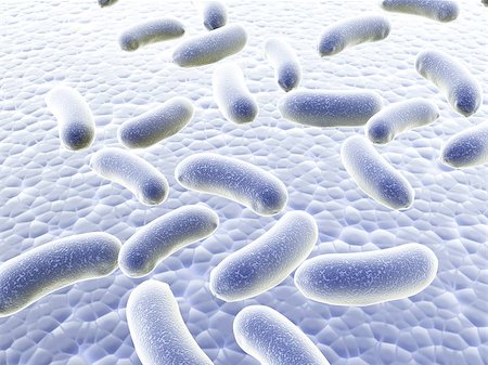 simsearch:400-04337180,k - Colony of pathogen bacteria - 3d render Stock Photo - Budget Royalty-Free & Subscription, Code: 400-06798712