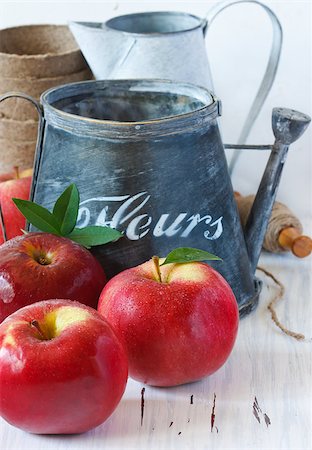 Red ripe apples and watering can in a garden. Stock Photo - Budget Royalty-Free & Subscription, Code: 400-06798809