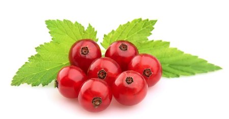 simsearch:400-04423672,k - Red Currant close up Stockbilder - Microstock & Abonnement, Bildnummer: 400-06799095