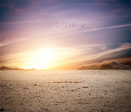 silent47 (artist) - Idylic landscape of a desert at sunset Foto de stock - Super Valor sin royalties y Suscripción, Código: 400-06799125
