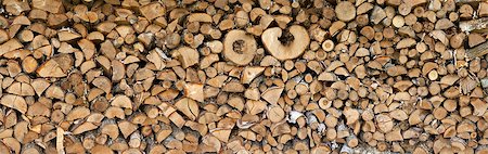 simsearch:696-03395999,k - Texture logs Photographie de stock - Aubaine LD & Abonnement, Code: 400-06799217