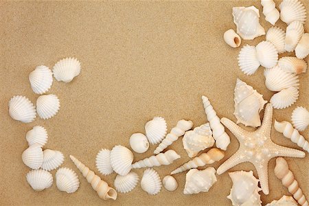 White sea shell selection with beach sand background Stock Photo - Budget Royalty-Free & Subscription, Code: 400-06791000