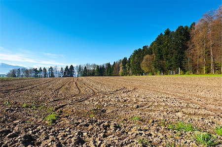 Forests and Plowed Fields in the Swiss Alps Photographie de stock - Aubaine LD & Abonnement, Code: 400-06792059