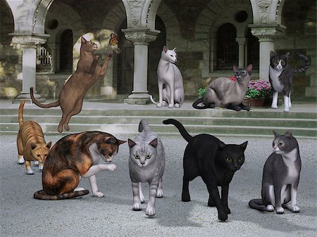 Nine breeds of cats sit on the steps and porch outside an ancient palace. Each cat is staging a different pose, position or activity. Photographie de stock - Aubaine LD & Abonnement, Code: 400-06792261