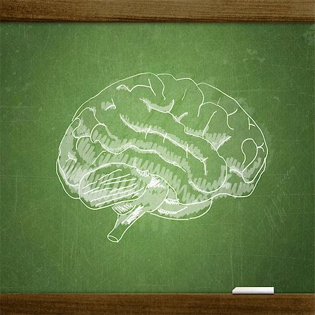 school biology - school sketches on blackboard, brain Stock Photo - Budget Royalty-Free & Subscription, Code: 400-06792778