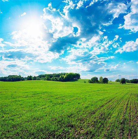 simsearch:400-06918933,k - Spring Green Field on the Background of Beautiful Clouds and Blue Sky Foto de stock - Super Valor sin royalties y Suscripción, Código: 400-06793043