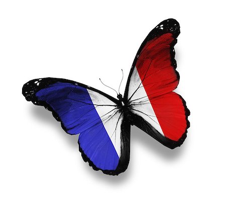 French flag butterfly, isolated on white Stock Photo - Budget Royalty-Free & Subscription, Code: 400-06793074