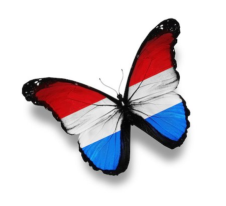 Luxembourg flag butterfly, isolated on white Stock Photo - Budget Royalty-Free & Subscription, Code: 400-06793075