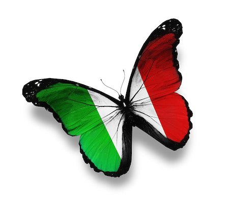 Italian flag butterfly, isolated on white Stock Photo - Budget Royalty-Free & Subscription, Code: 400-06793076