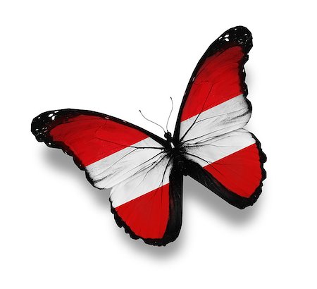 Austrian flag butterfly, isolated on white Stock Photo - Budget Royalty-Free & Subscription, Code: 400-06793077