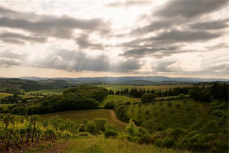 Scenic view of typical Tuscany cloudy landscape Foto de stock - Super Valor sin royalties y Suscripción, Código: 400-06793144