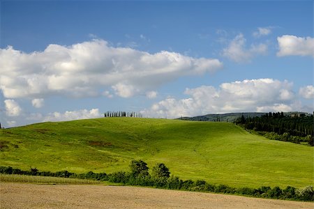 An image ofa  typical tuscan landscape Foto de stock - Super Valor sin royalties y Suscripción, Código: 400-06793142