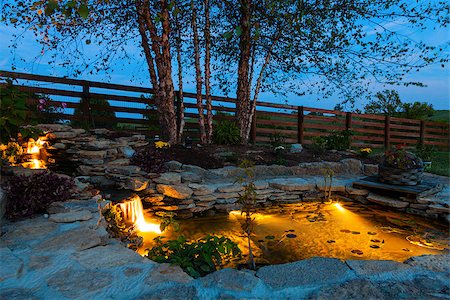 Decorative koi pond in a garden at night Stock Photo - Budget Royalty-Free & Subscription, Code: 400-06793153