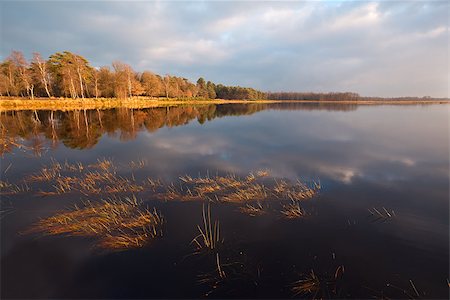 simsearch:400-07173519,k - calm wild lake before the sunrise, Dwingelderveld Foto de stock - Super Valor sin royalties y Suscripción, Código: 400-06793661