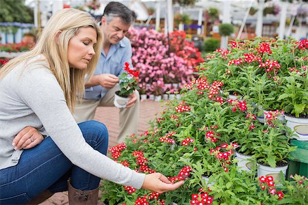 Couple looking for flowers in garden centre Stock Photo - Budget Royalty-Free & Subscription, Code: 400-06802578