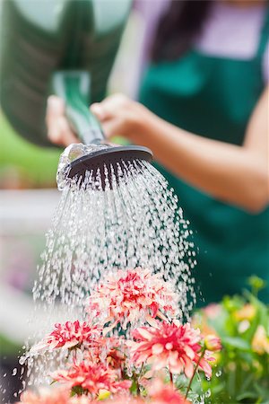 Woman watering flowers in garden centre Stock Photo - Budget Royalty-Free & Subscription, Code: 400-06802589