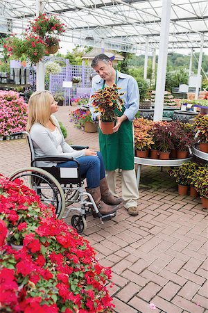 paraplegic women in wheelchairs - Woman in wheelchair looking at the plant in garden centre Stock Photo - Budget Royalty-Free & Subscription, Code: 400-06802674