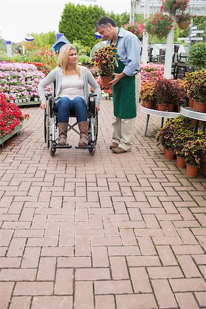 female paraplegic - Woman in wheelchair buying potted plant in the garden centre Stock Photo - Budget Royalty-Free & Subscription, Code: 400-06802678