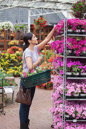 people shopping garden center model release property release - Cheerful woman taking a flower from the shelves Stock Photo - Budget Royalty-Free & Subscription, Code: 400-06802672