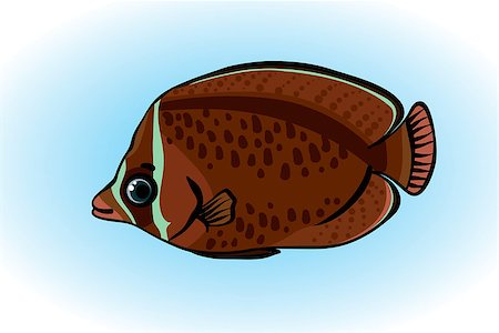 falterfisch - Cartoon brown butterfly fish on a blue background Stockbilder - Microstock & Abonnement, Bildnummer: 400-06849505